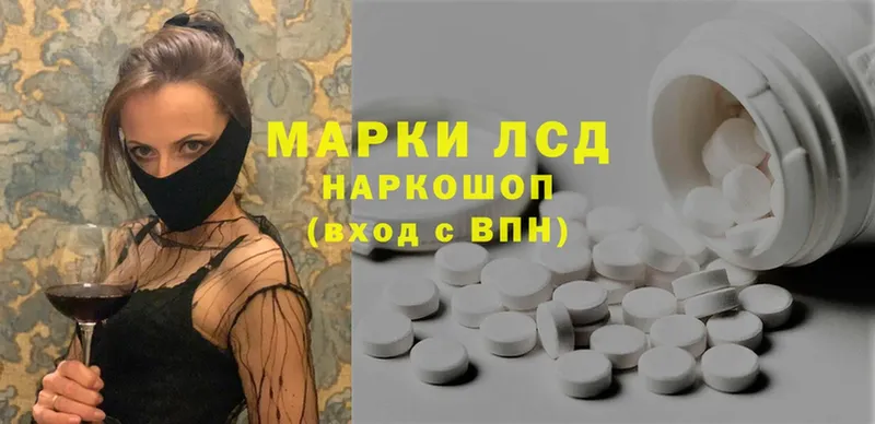 ссылка на мегу tor  Мураши  ЛСД экстази ecstasy 